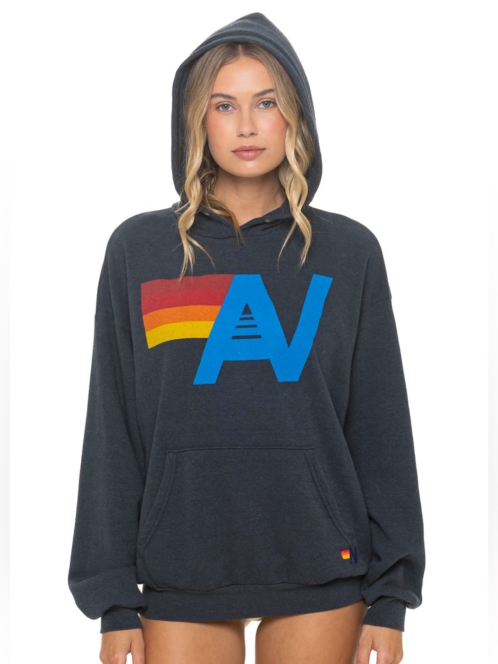 Aviator Nation Logo Pullover Relaxed Hoodie